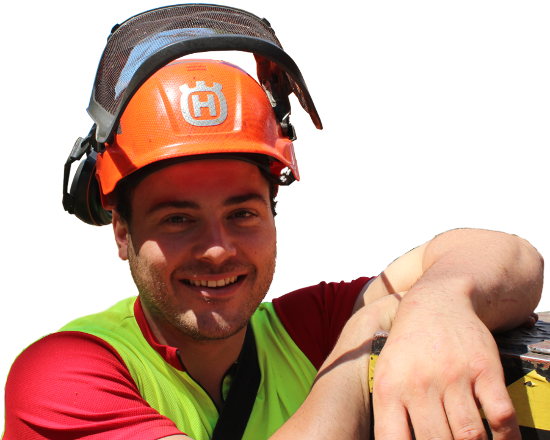 Daniel - Geschäftsführer